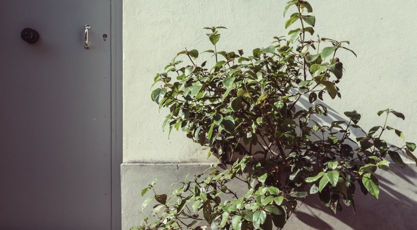 Photo of La Demi-Baguette