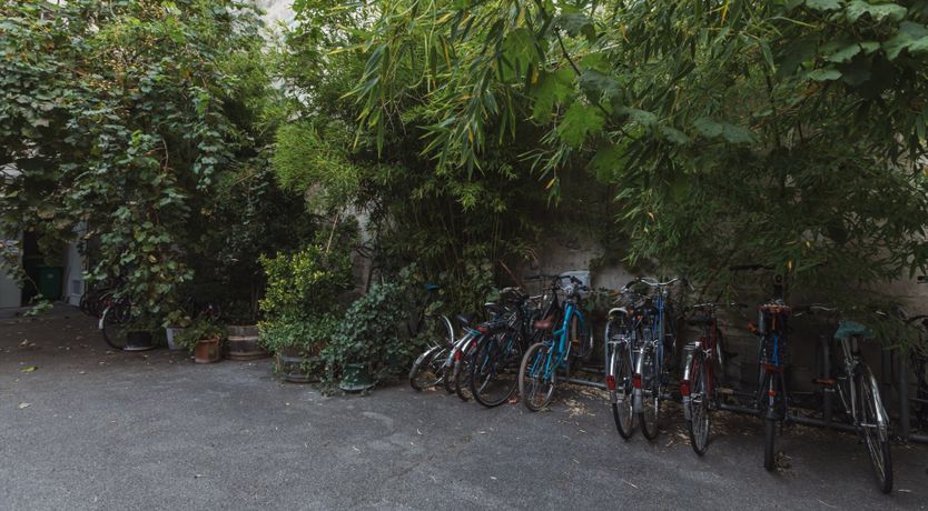 Photo of An Ochre Touch