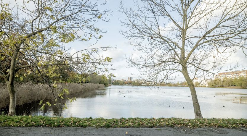 Photo of Look At You