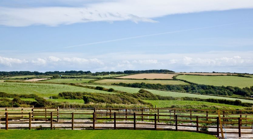 Photo of Oat & Treacle