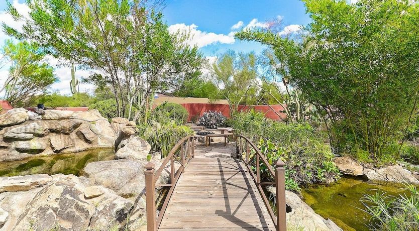 Photo of A Splash of Colour