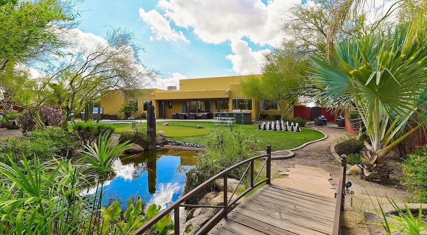 Photo of A Splash of Colour