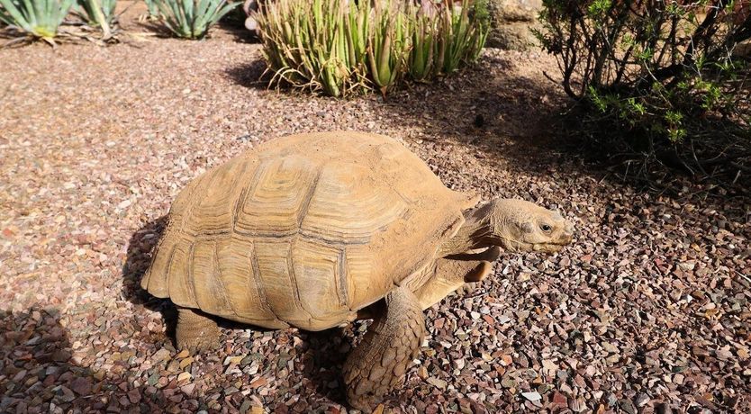 Photo of A Splash of Colour