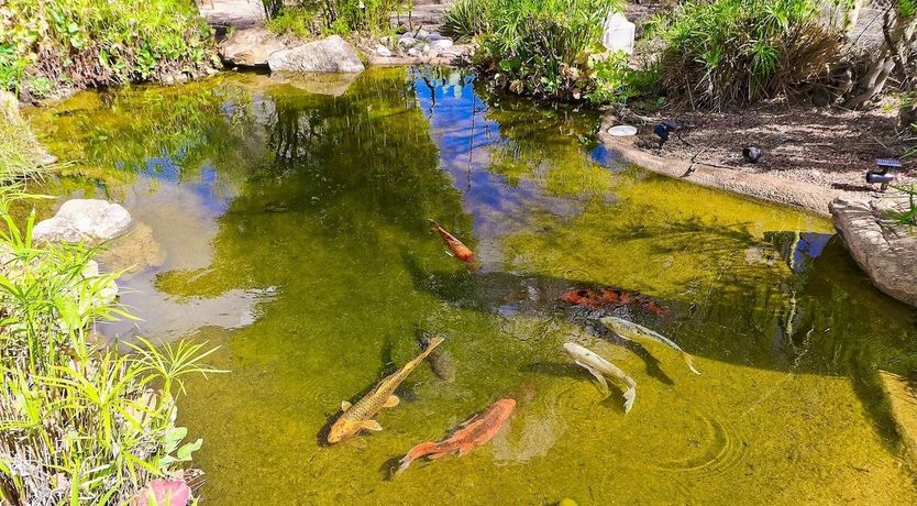 Photo of A Splash of Colour