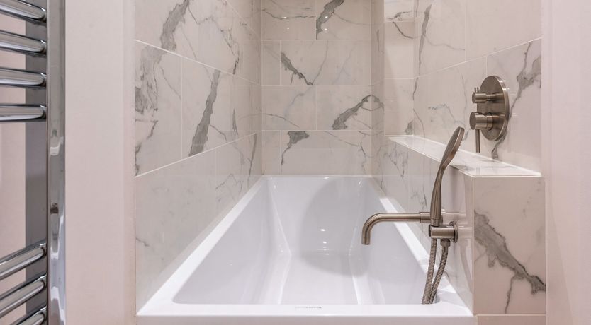 Photo of Kundera's Dream