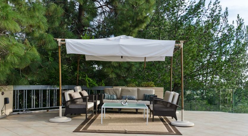 Photo of Matinee Idol