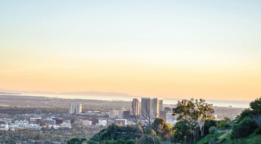 Photo of Matinee Idol