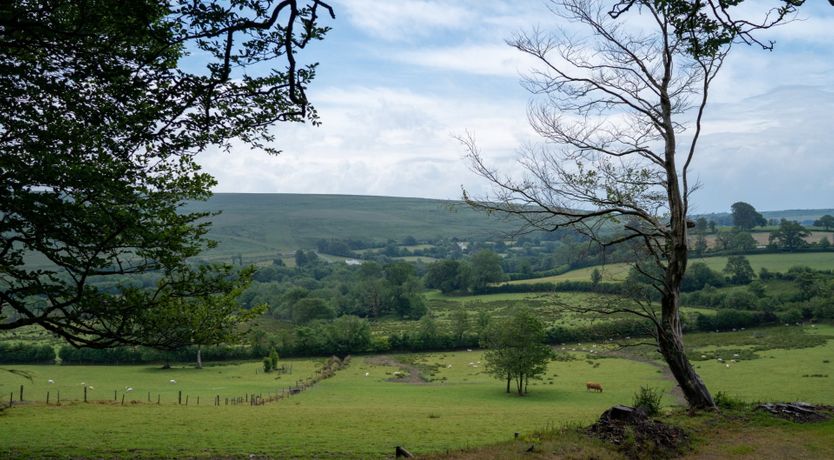 Photo of Rose Cocoon