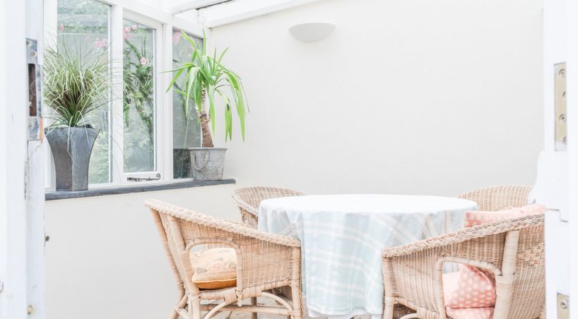 Photo of Rose Cocoon