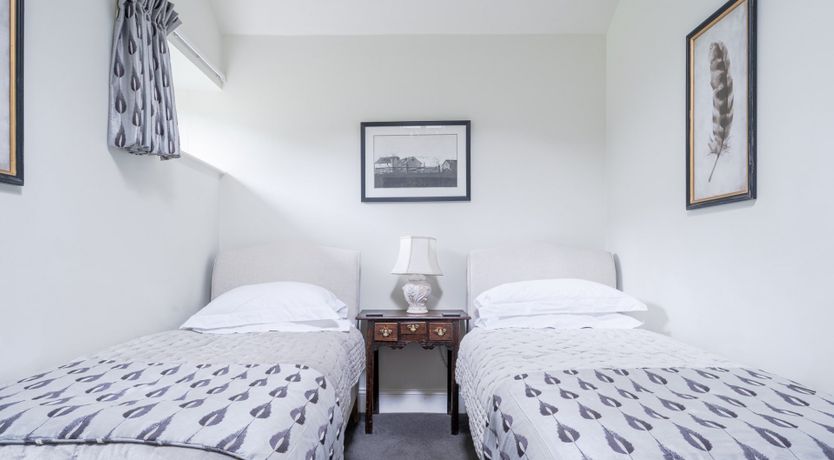 Photo of Rose Cocoon