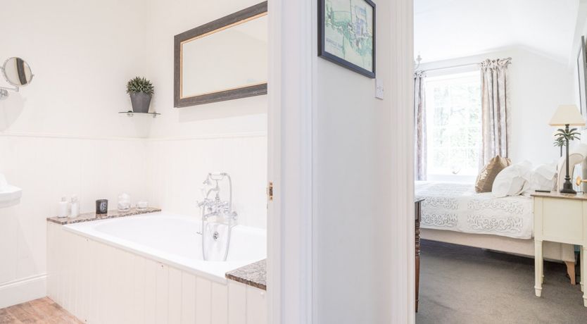 Photo of Rose Cocoon