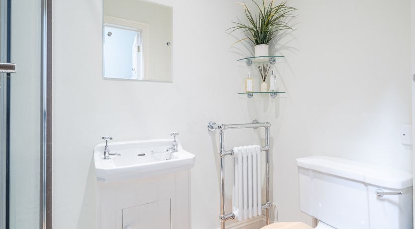 Photo of Rose Cocoon