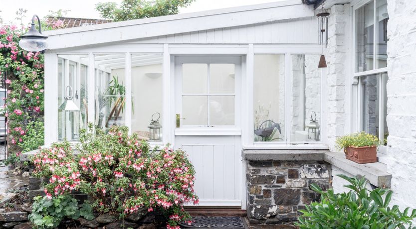 Photo of Rose Cocoon