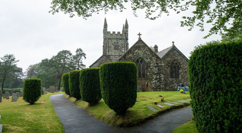 Photo of Rose Cocoon