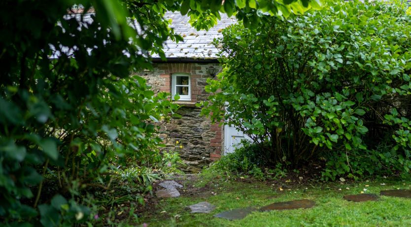 Photo of Rose Cocoon