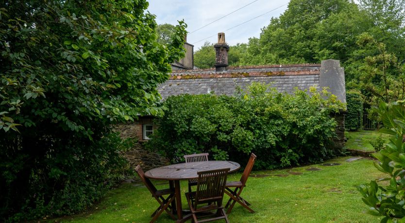 Photo of Rose Cocoon