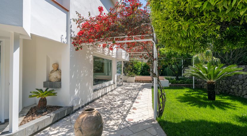 Photo of You Can't Beat the View