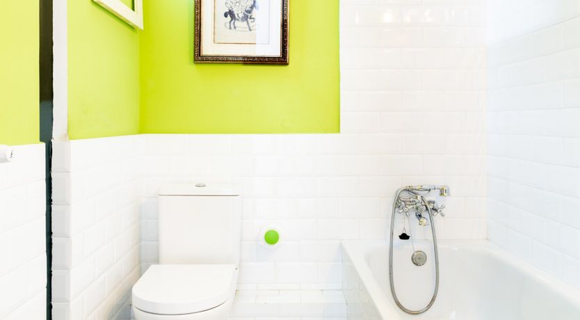 Photo of Riot of Colour