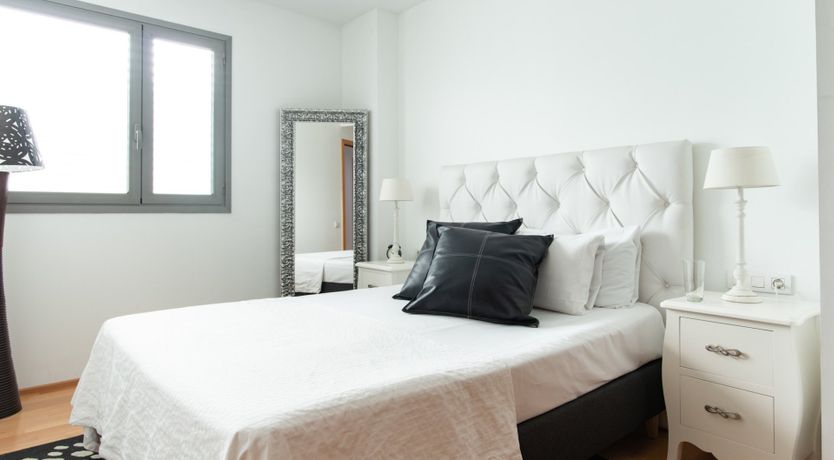 Photo of The Singing Butler