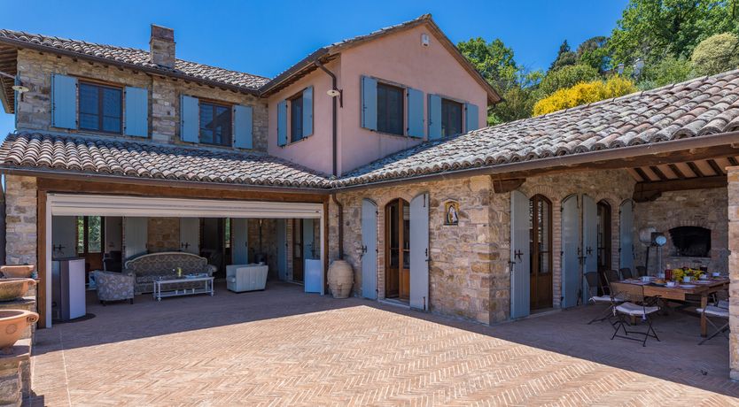 Photo of Olive Branch Offering