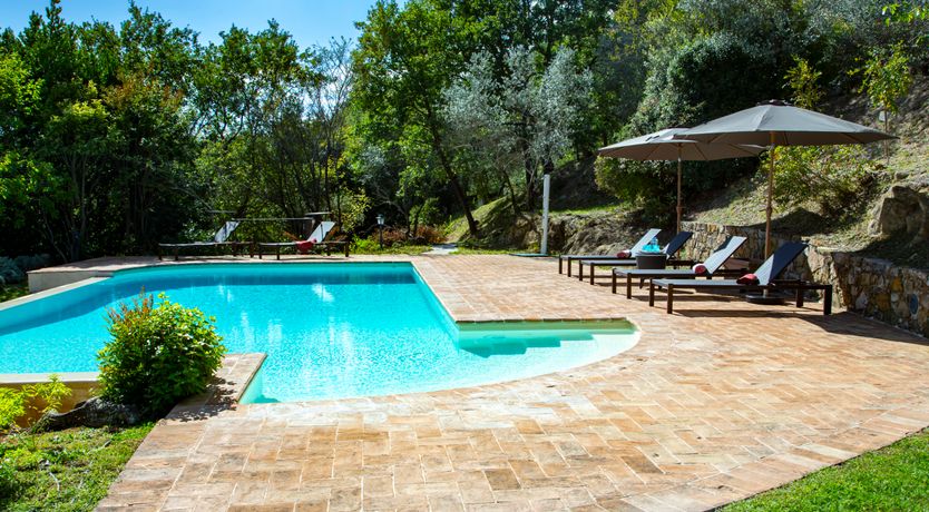 Photo of Olive Branch Offering