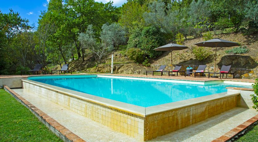 Photo of Olive Branch Offering