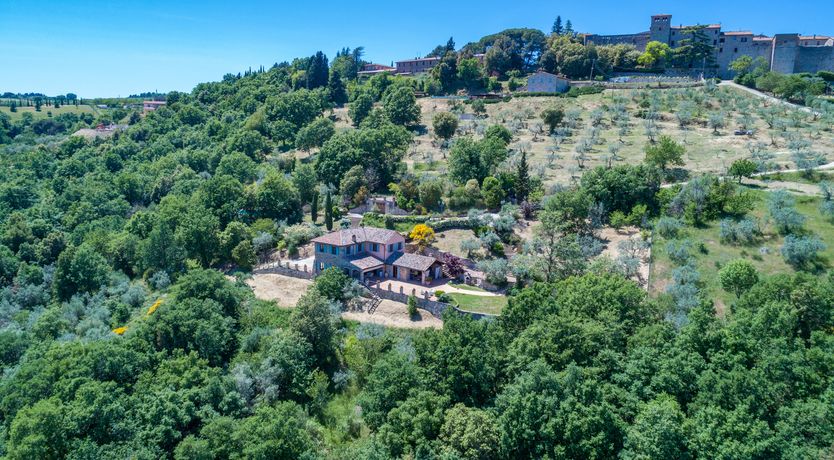 Photo of Olive Branch Offering