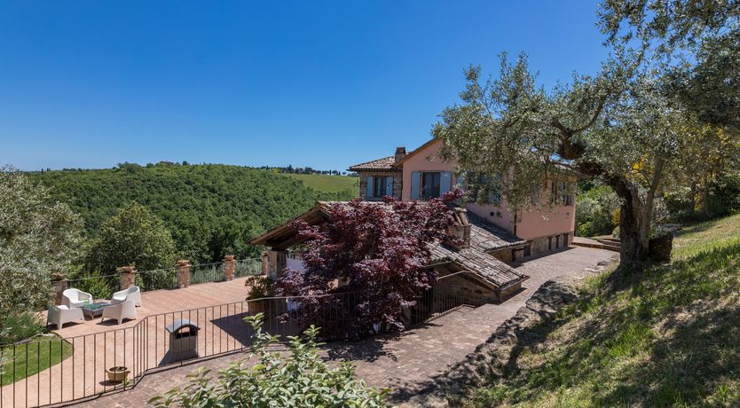 Photo of Olive Branch Offering