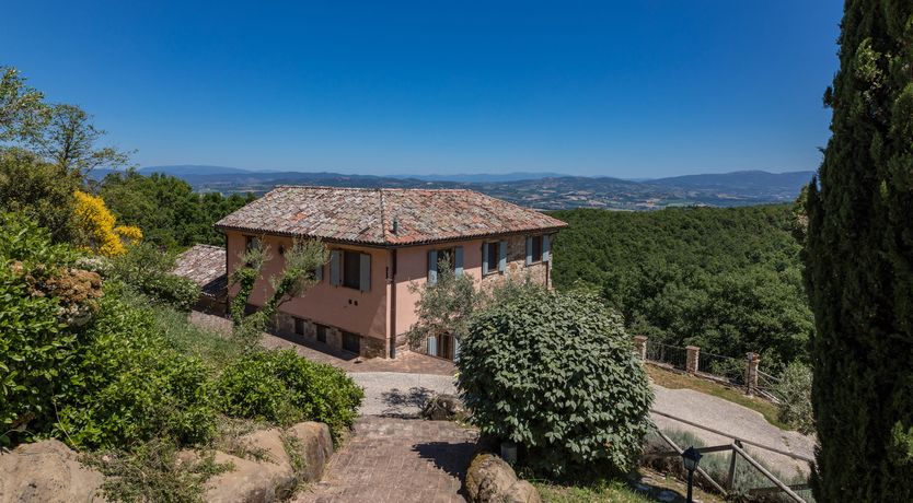 Photo of Olive Branch Offering