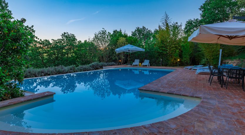 Photo of Olive Branch Offering