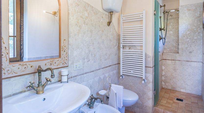 Photo of Olive Branch Offering