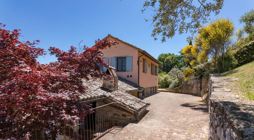 Photo of Olive Branch Offering