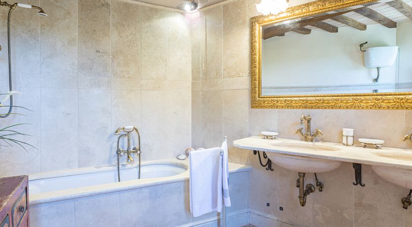 Photo of Olive Branch Offering