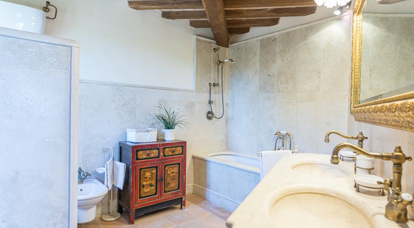 Photo of Olive Branch Offering