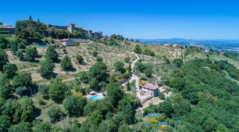 Photo of Olive Branch Offering