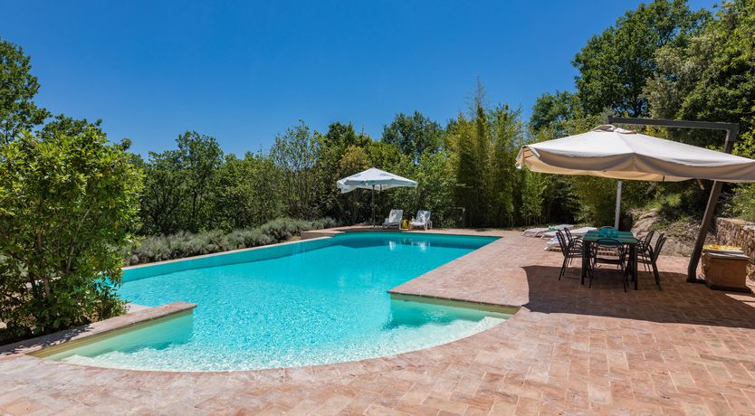 Photo of Olive Branch Offering