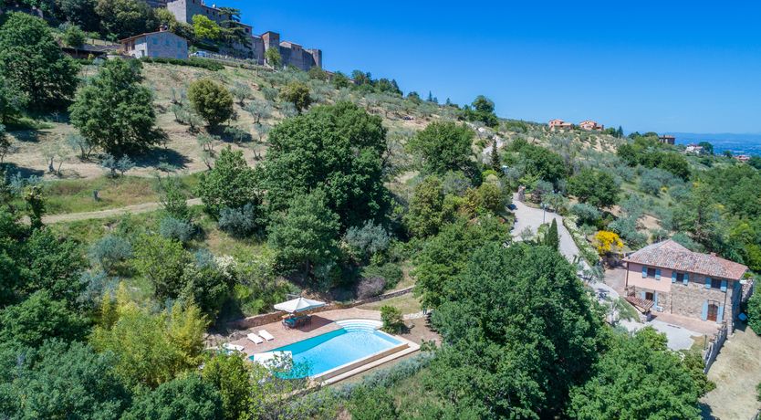 Photo of Olive Branch Offering