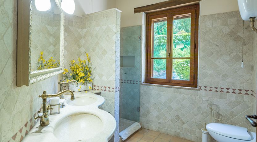 Photo of Olive Branch Offering