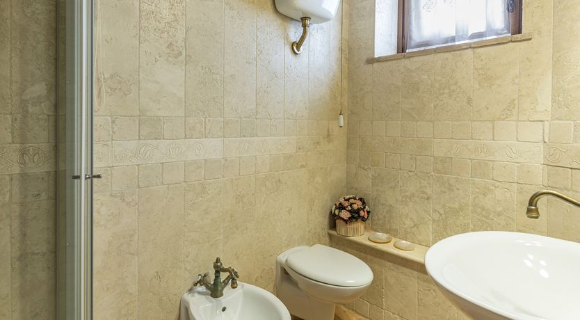 Photo of Olive Branch Offering