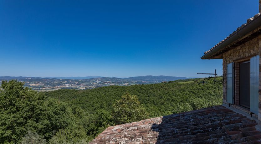 Photo of Olive Branch Offering