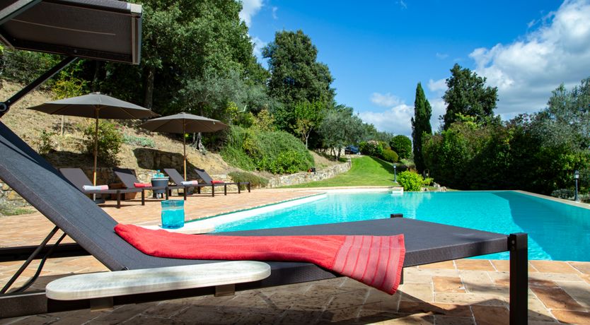 Photo of Olive Branch Offering