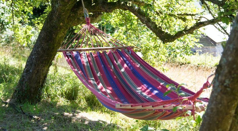 Photo of Apple Bobbing