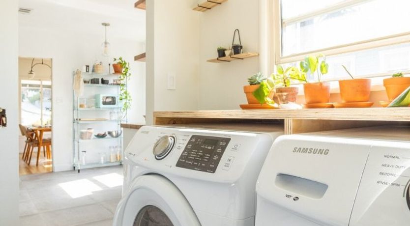 Photo of Best Of Bastet