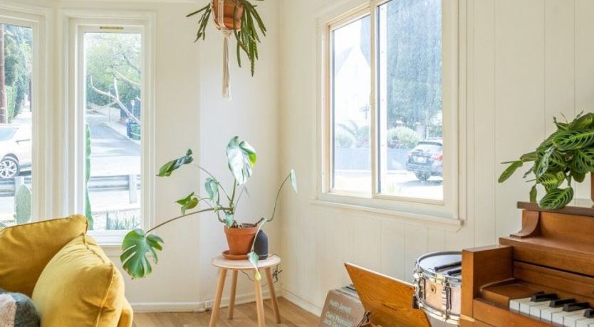 Photo of Best Of Bastet