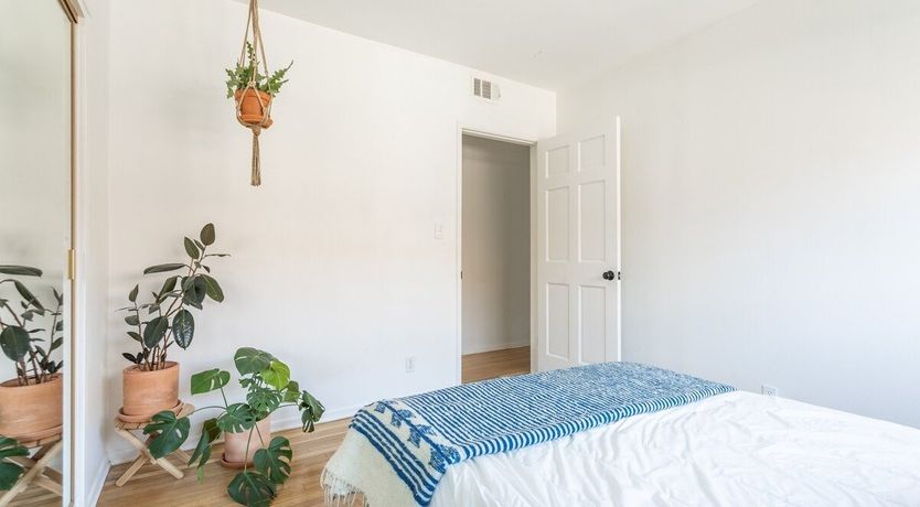 Photo of Best Of Bastet