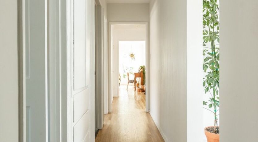 Photo of Best Of Bastet