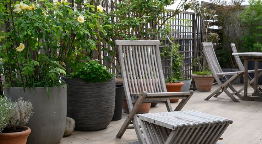 Photo of The Puppet Show