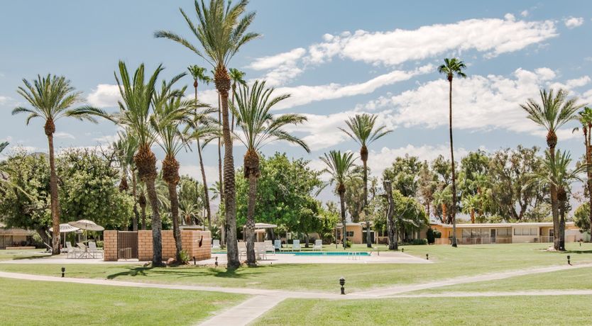 Photo of The Desert Martini