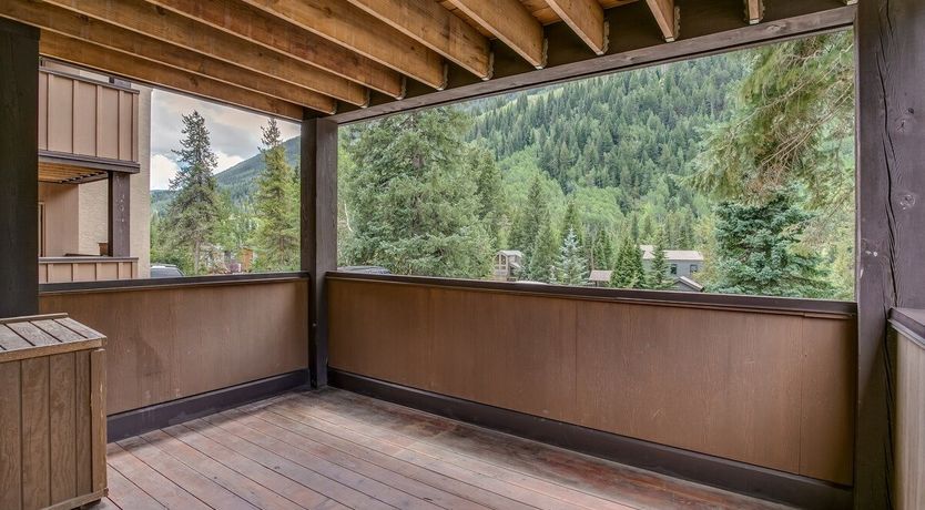 Photo of Ponderosa Pine