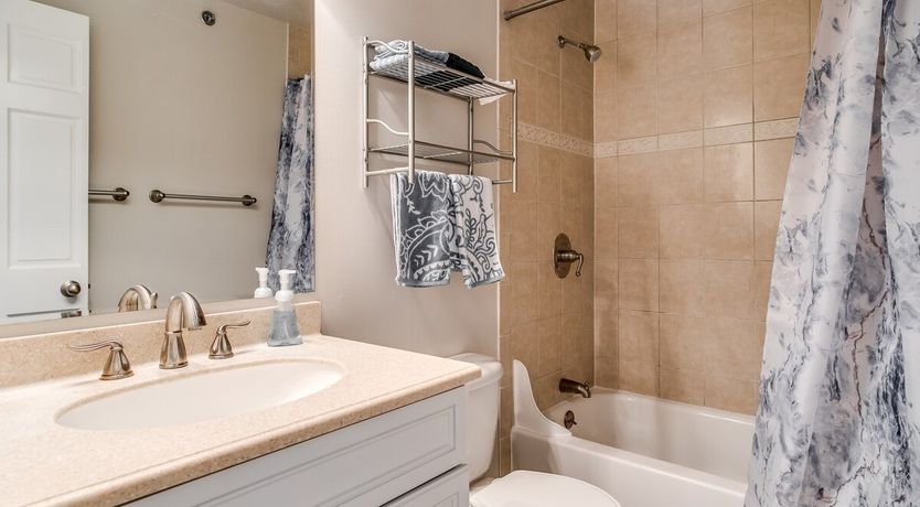 Photo of Ponderosa Pine